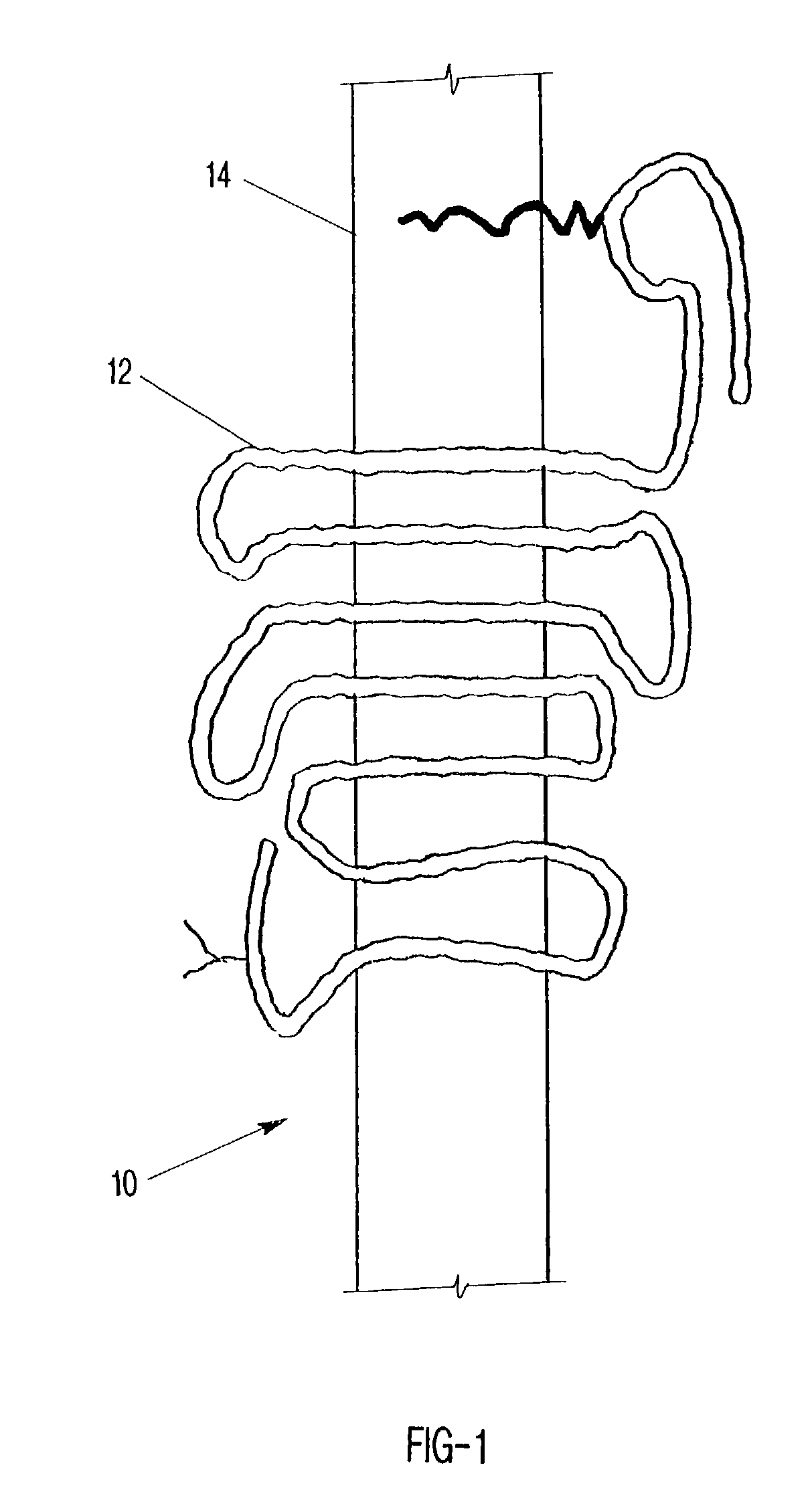 Display of receptors and analysis of binding interactions and drug libraries