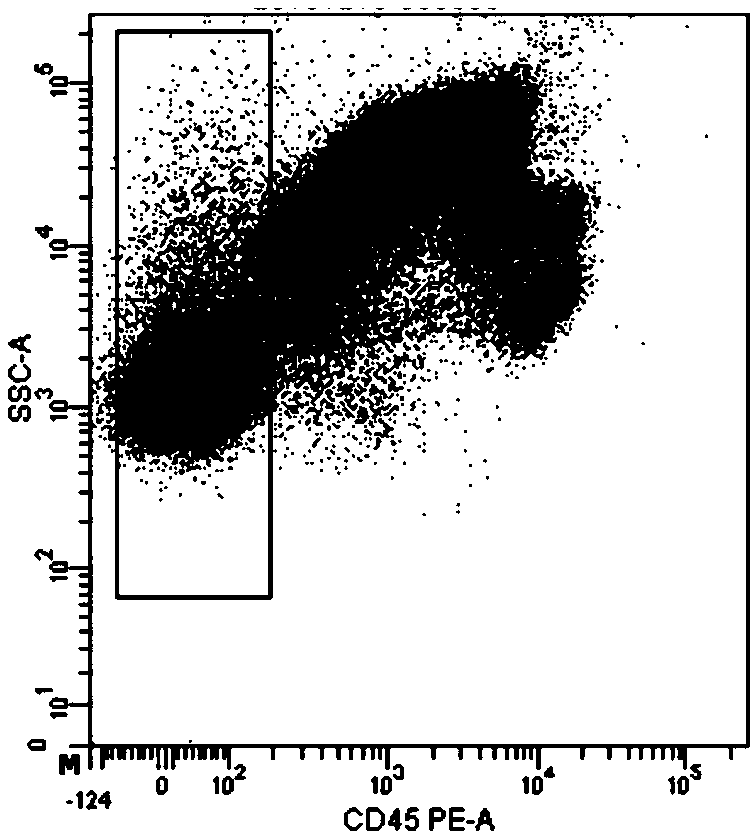 Circulating tumor cell detection method based on immunomagnetic beads and flow cytometry