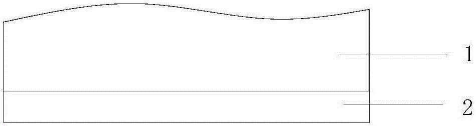 Anti-slippery shoe and preparation method thereof