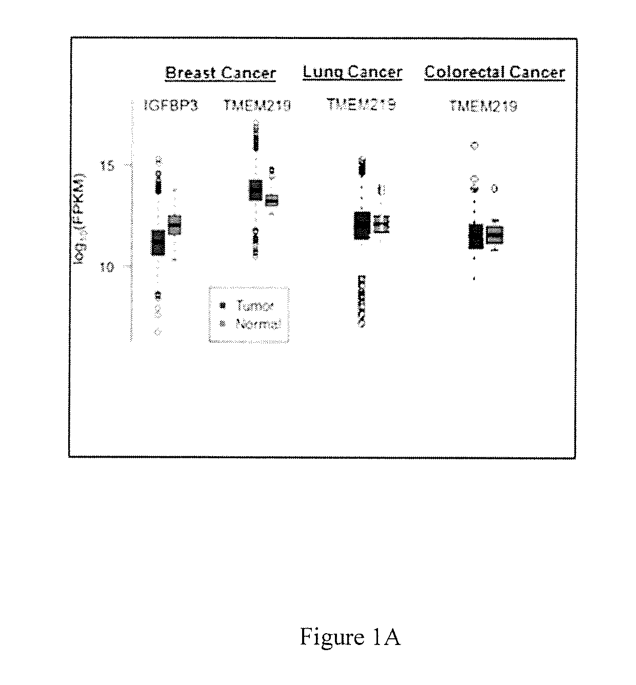 Treatment of diseases related to igfb3 and its receptor