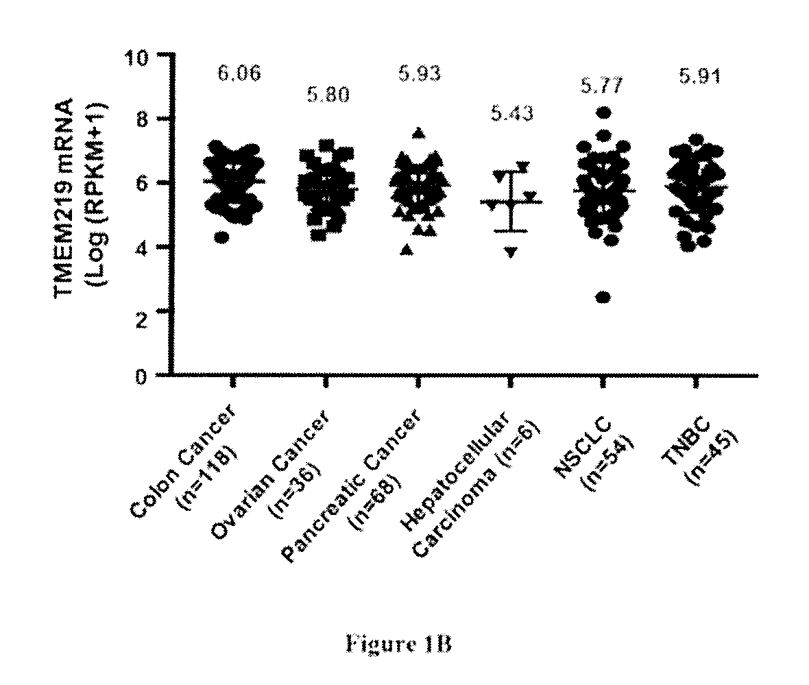 Treatment of diseases related to igfb3 and its receptor