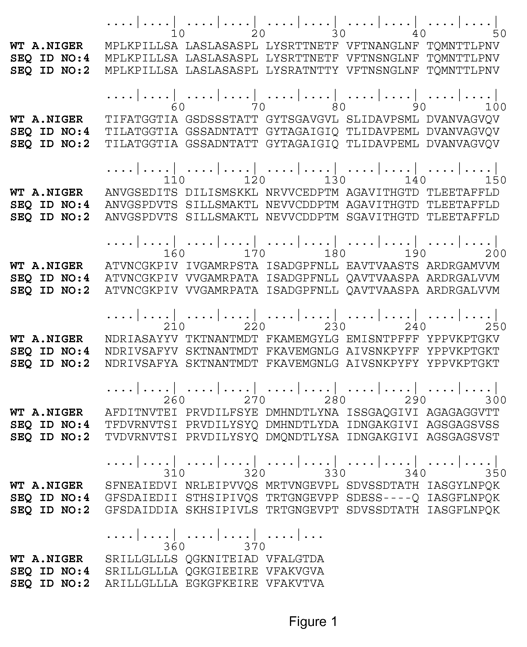 Novel asparaginases and uses thereof