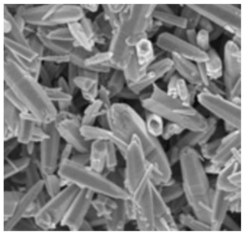 Directionally grown titanium carbonitride crystal, preparation method and application thereof