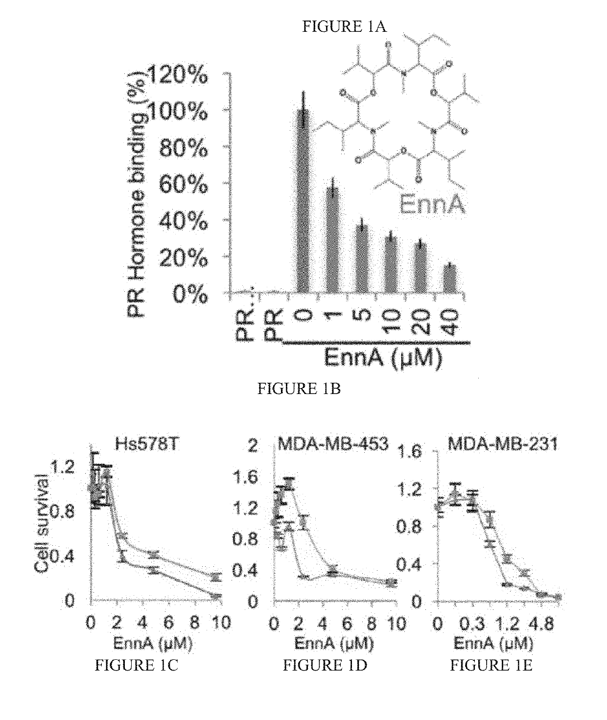 Compositions and Methods for Inhibiting Tumor-Induced Immune Suppression