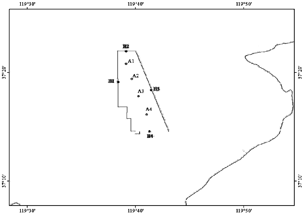 Method for monitoring and evaluating environment quality of Laizhou Bay marine ranching on basis of living body response