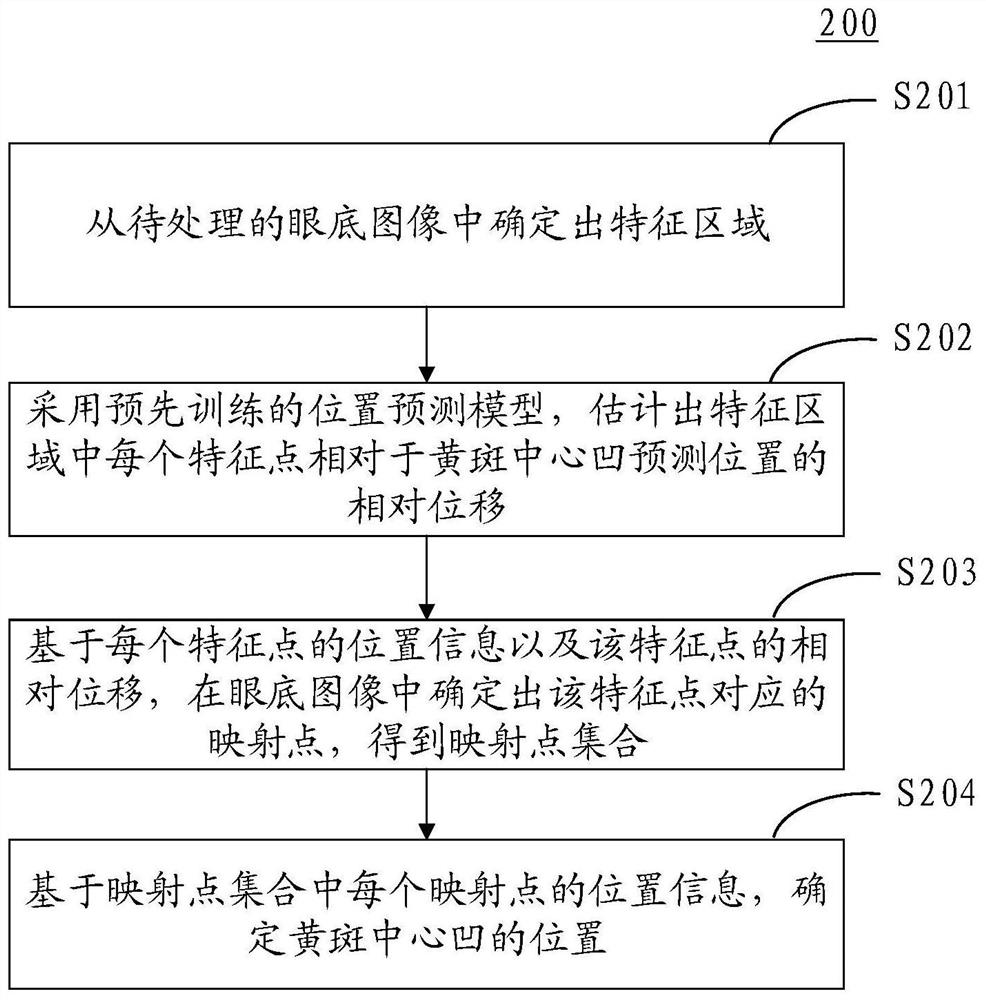 Method and device for determining macular fovea centralis position