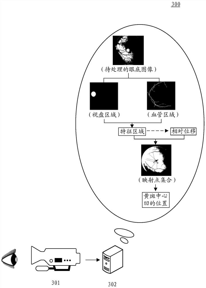 Method and device for determining macular fovea centralis position