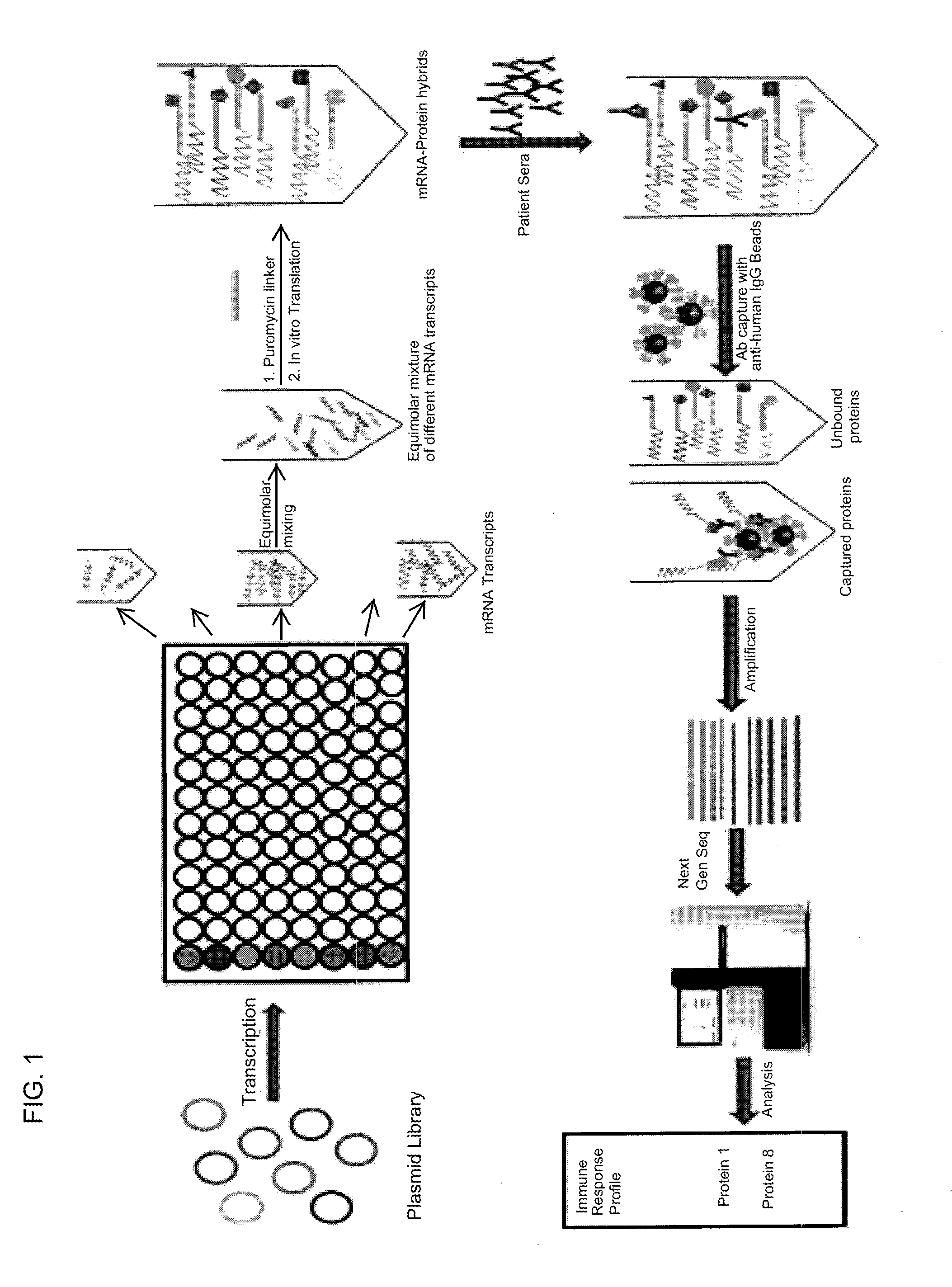 Nucleic acid-tagged compositions and methods for multiplexed protein-protein interaction profiling