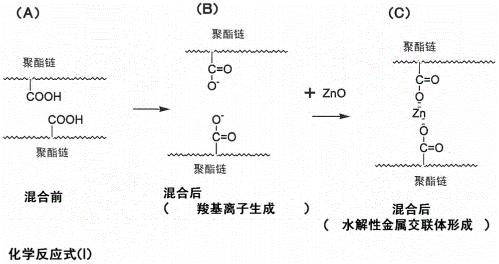 Two-component hydrolyzable antifouling coating composition, antifouling coating film, and method for producing an antifouling substrate