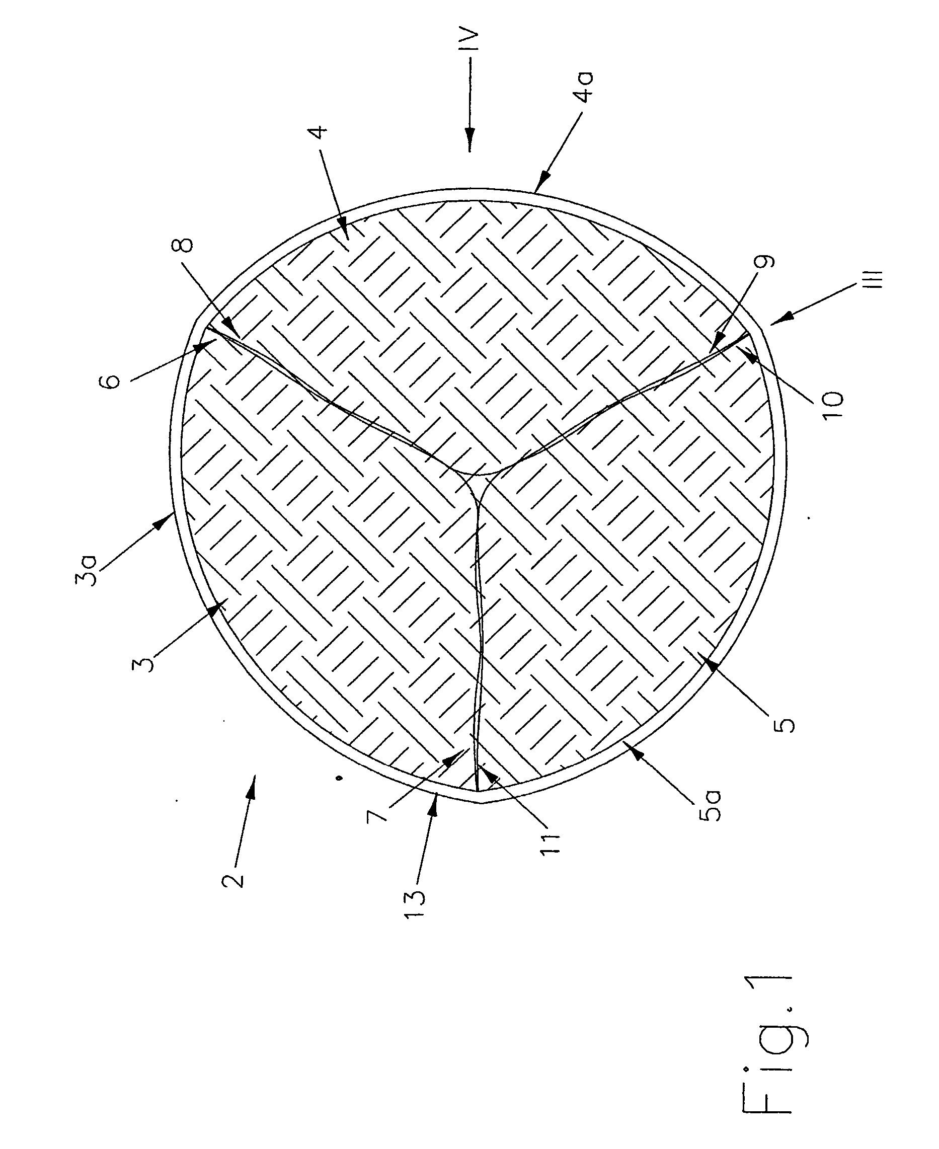 Prosthetic valves for medical application