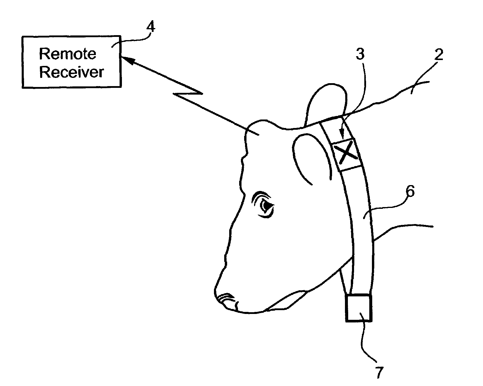 Method and system for monitoring physiological conditions of, and/or suitability of animal feed for ruminant animals