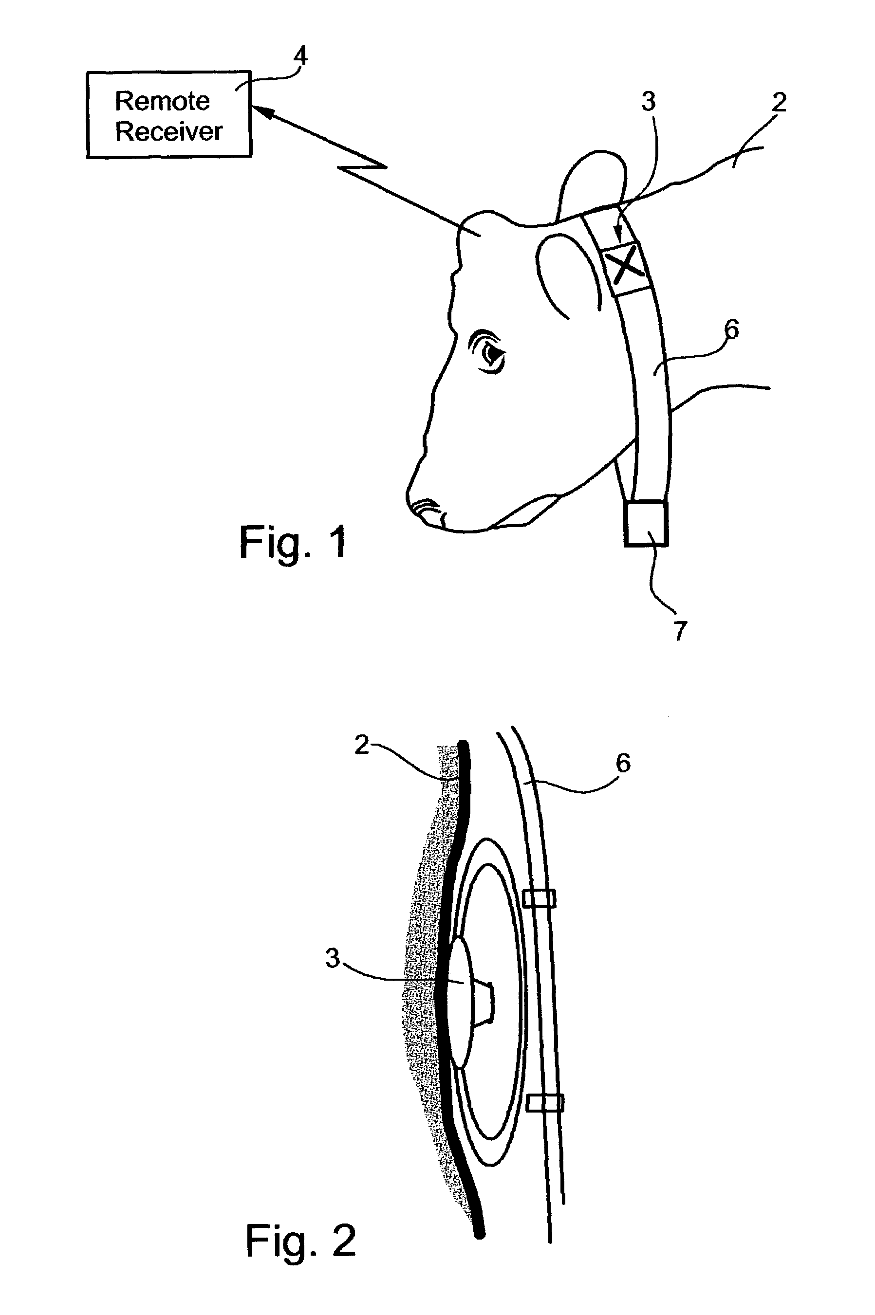 Method and system for monitoring physiological conditions of, and/or suitability of animal feed for ruminant animals