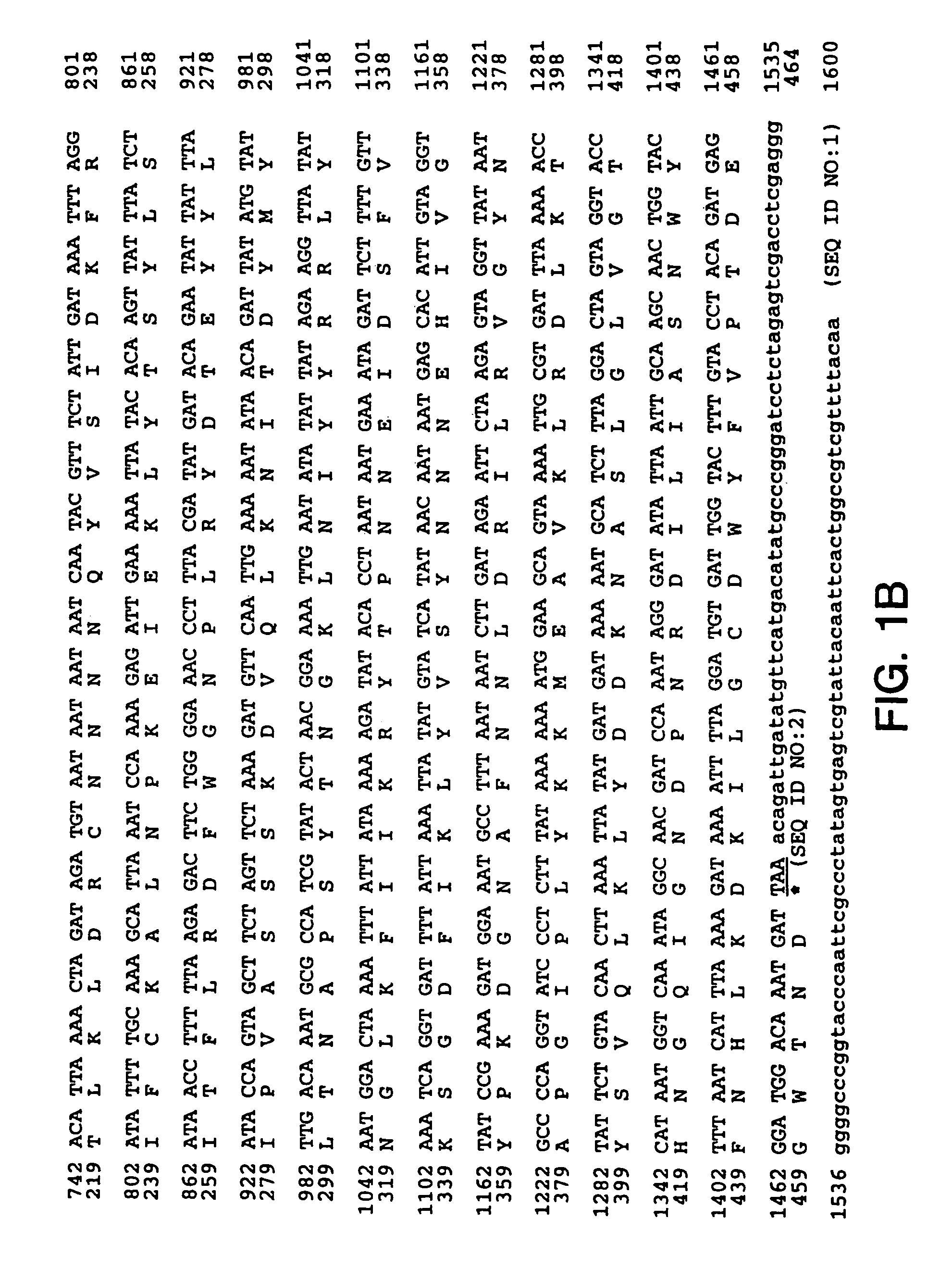 Methods for direct visualization of active synapses