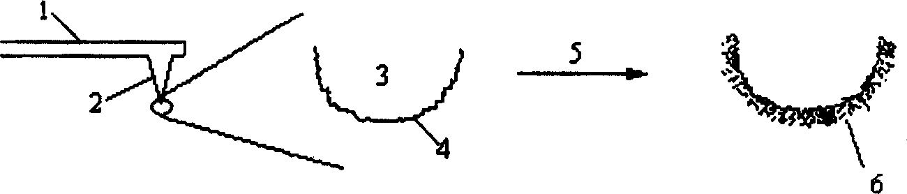 Method for preparing probe tip of nano tube