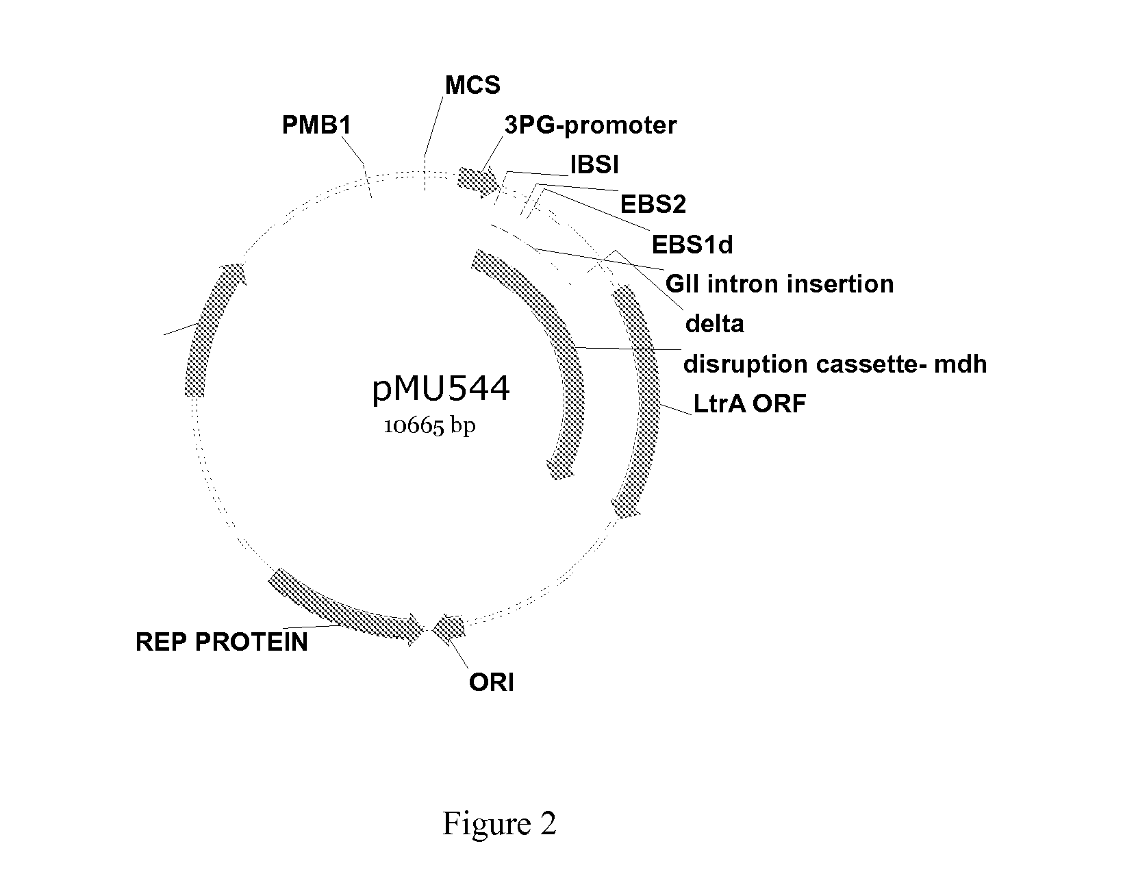 Engineering Microorganisms to Increase Ethanol Production by Metabolic Redirection