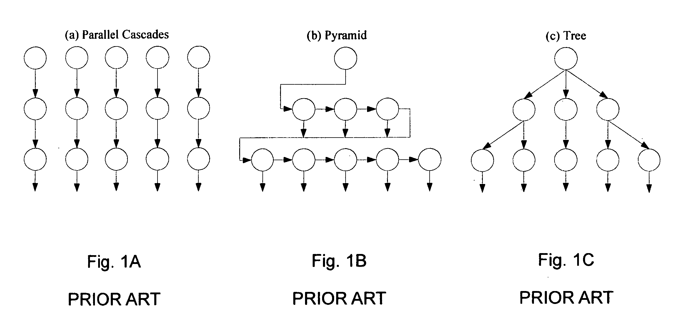 Apparatus and method for detecting a particular subject