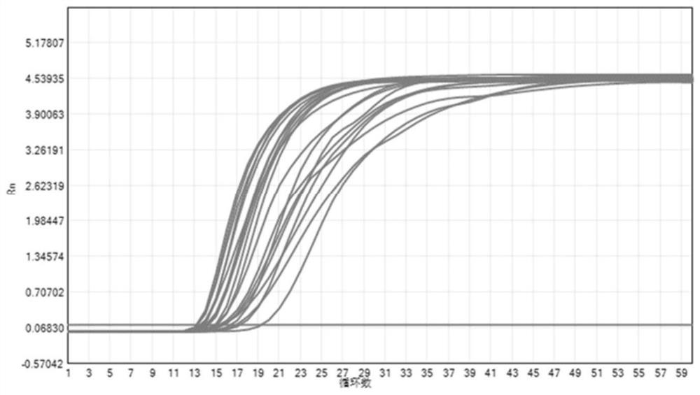 Kit for detecting SARS-CoV-2 novel coronavirus nucleic acid at constant temperature by using enzyme digestion probe