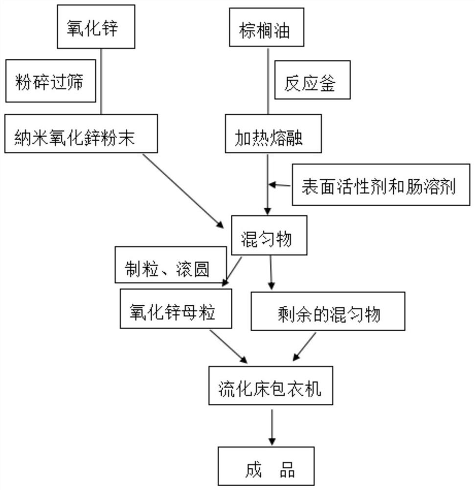 Enteric coated nano zinc oxide particles and production method thereof