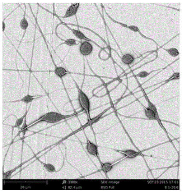 Paclitaxel loaded catenulate nano fiber and preparation method thereof