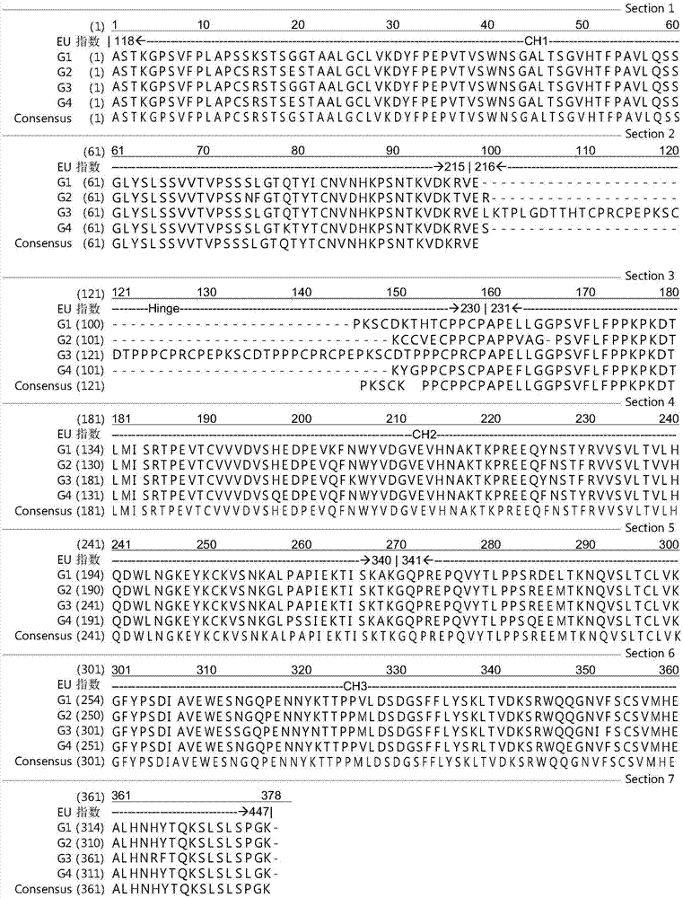 An antibody heavy chain constant region sequence enhancing activity of an agonistic antibody