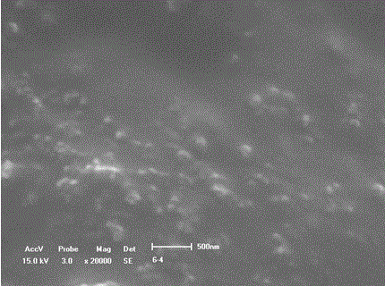 Controllable short-process preparation method of nano titanium dioxide