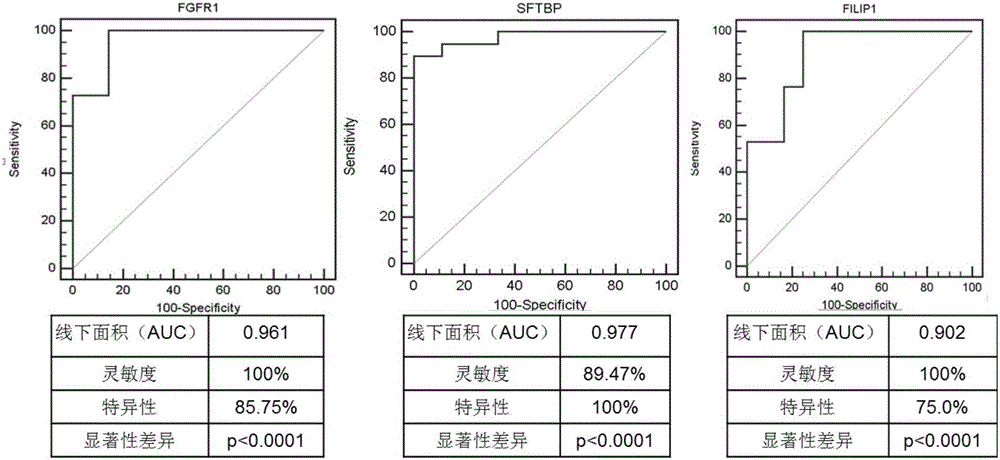 Genetic mark, primer, probe and kit for detecting lung cancer