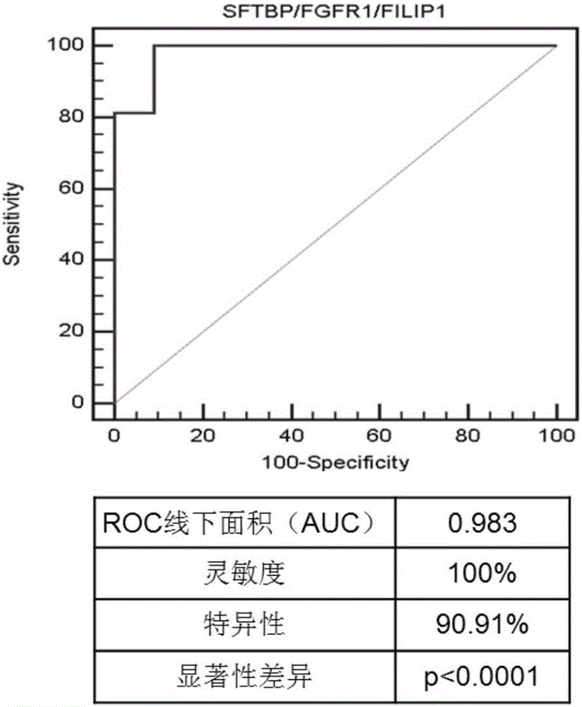 Genetic mark, primer, probe and kit for detecting lung cancer