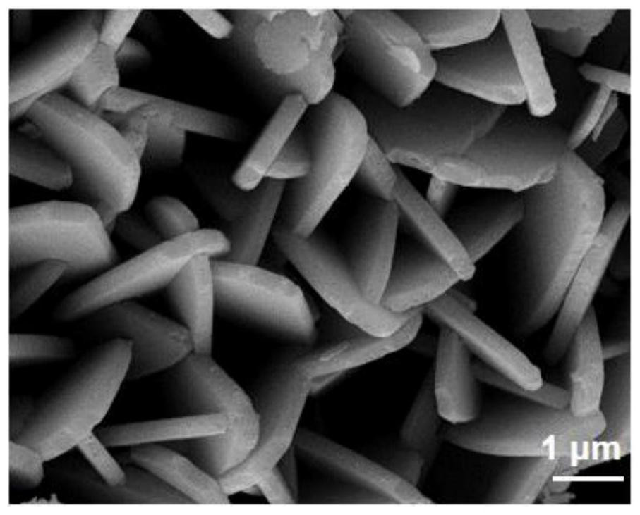 Synthetic method for simultaneously preparing positive electrode material and negative electrode material of high-performance supercapacitor by taking Co-MOF array as precursor