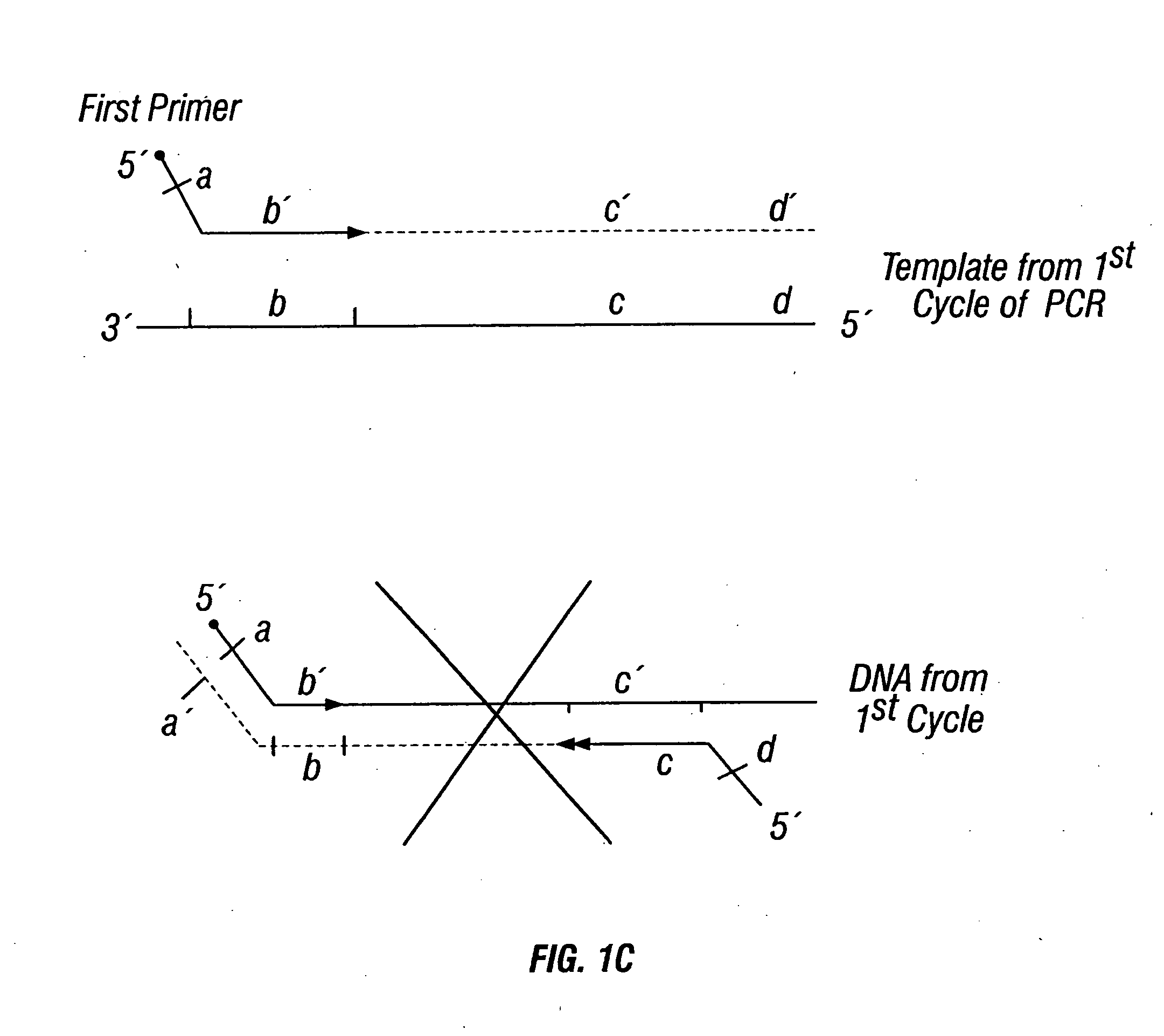 Methods for detection of genetic disorders