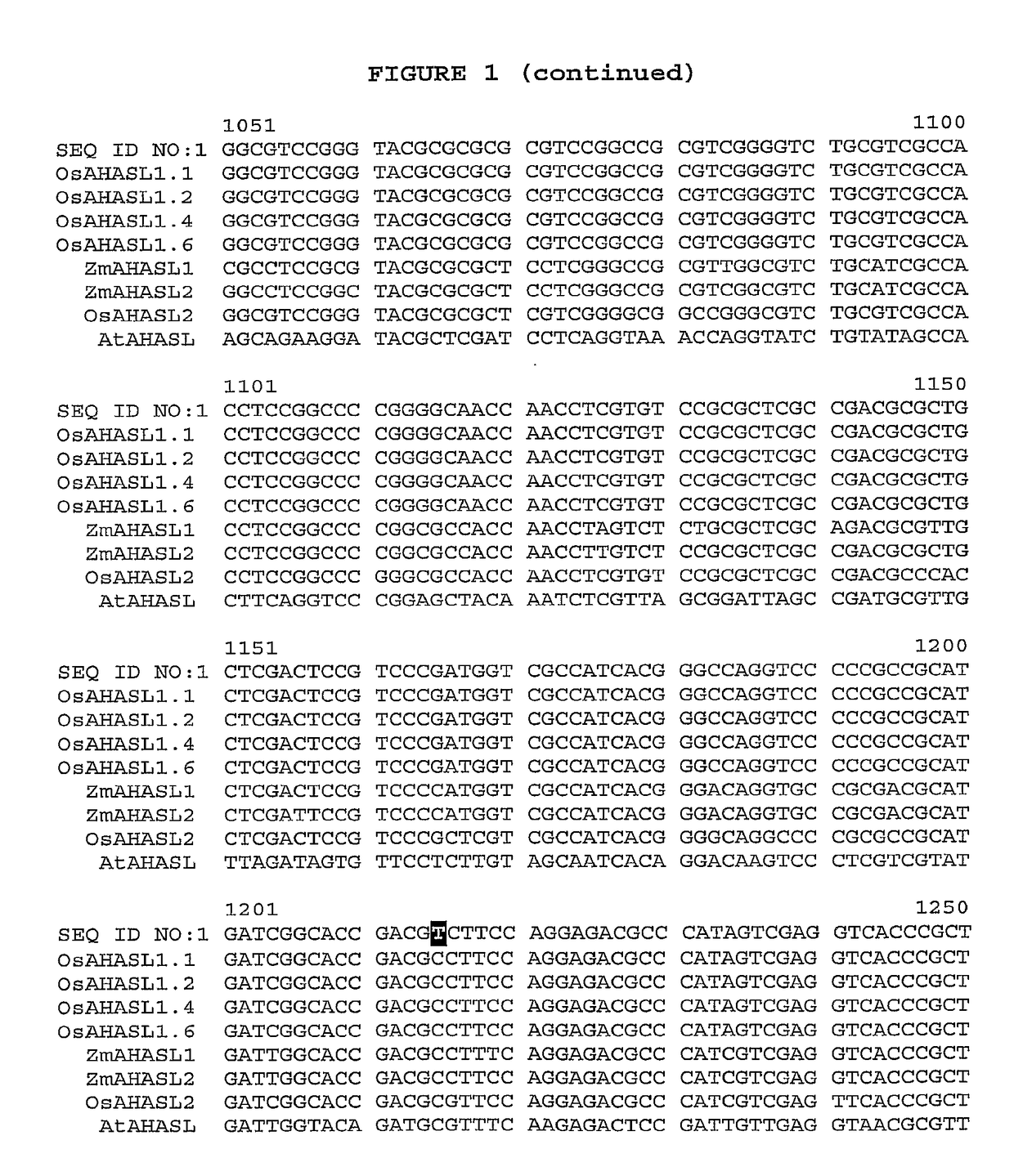 Herbicide-resistant rice plants, polynucleotides encoding herbicide-resistant acetohydroxyacid synthase large subunit proteins, and methods of use