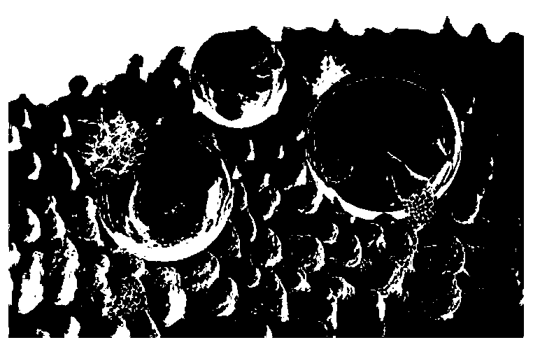 Solvent type polyurethane resin and preparation method thereof, and fluoride-free clothes with lotus leaf effect