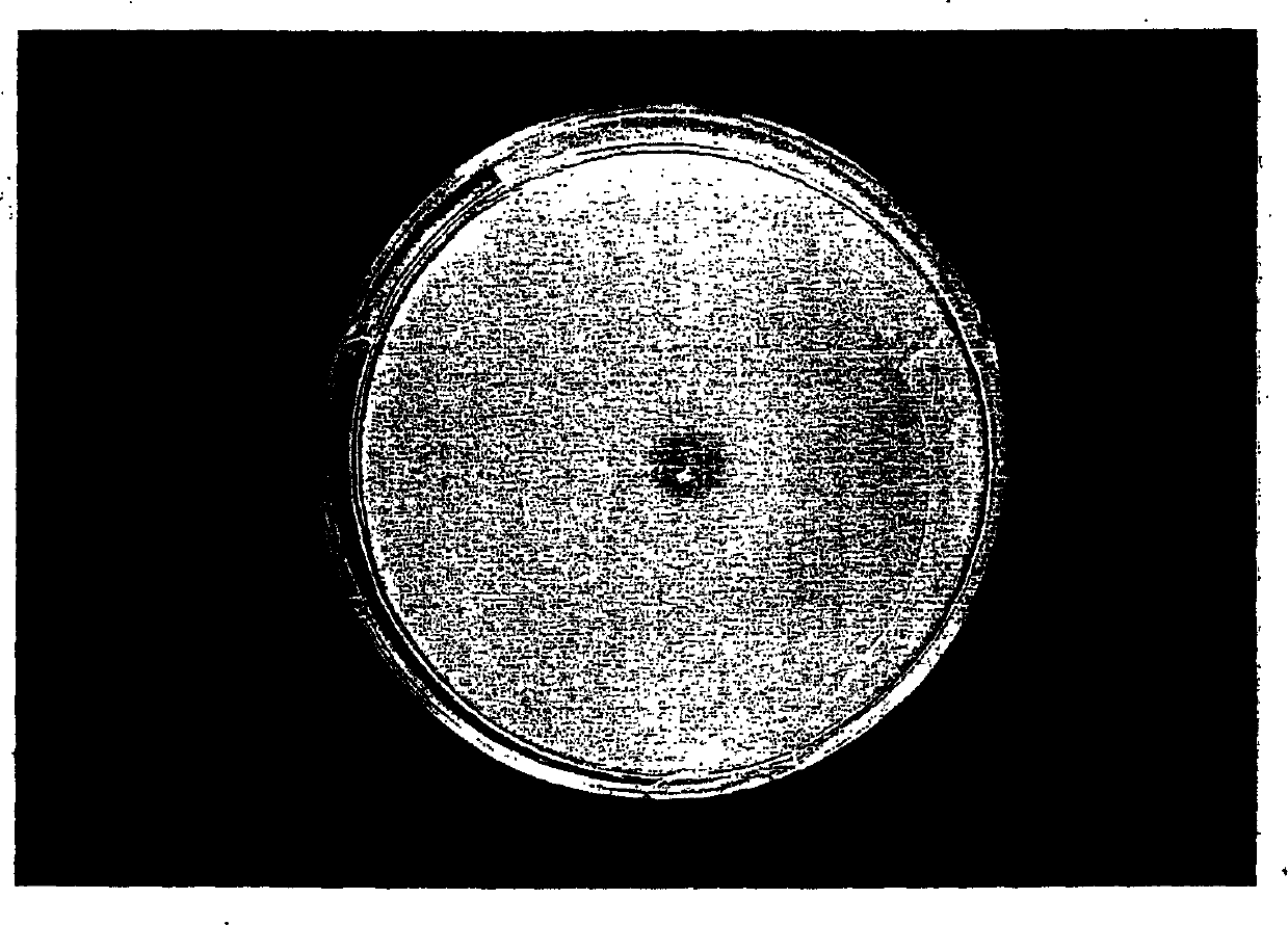 Organophosphorus degradating enzyme and coding gene