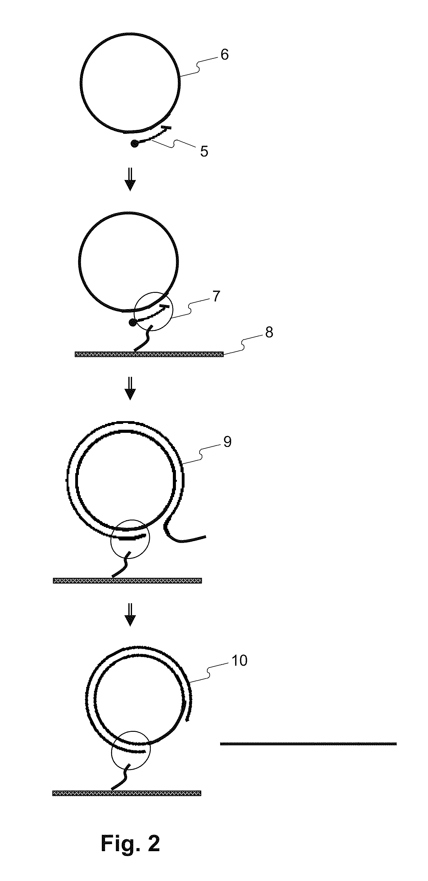 Methods for accurate sequence data and modified base position determination