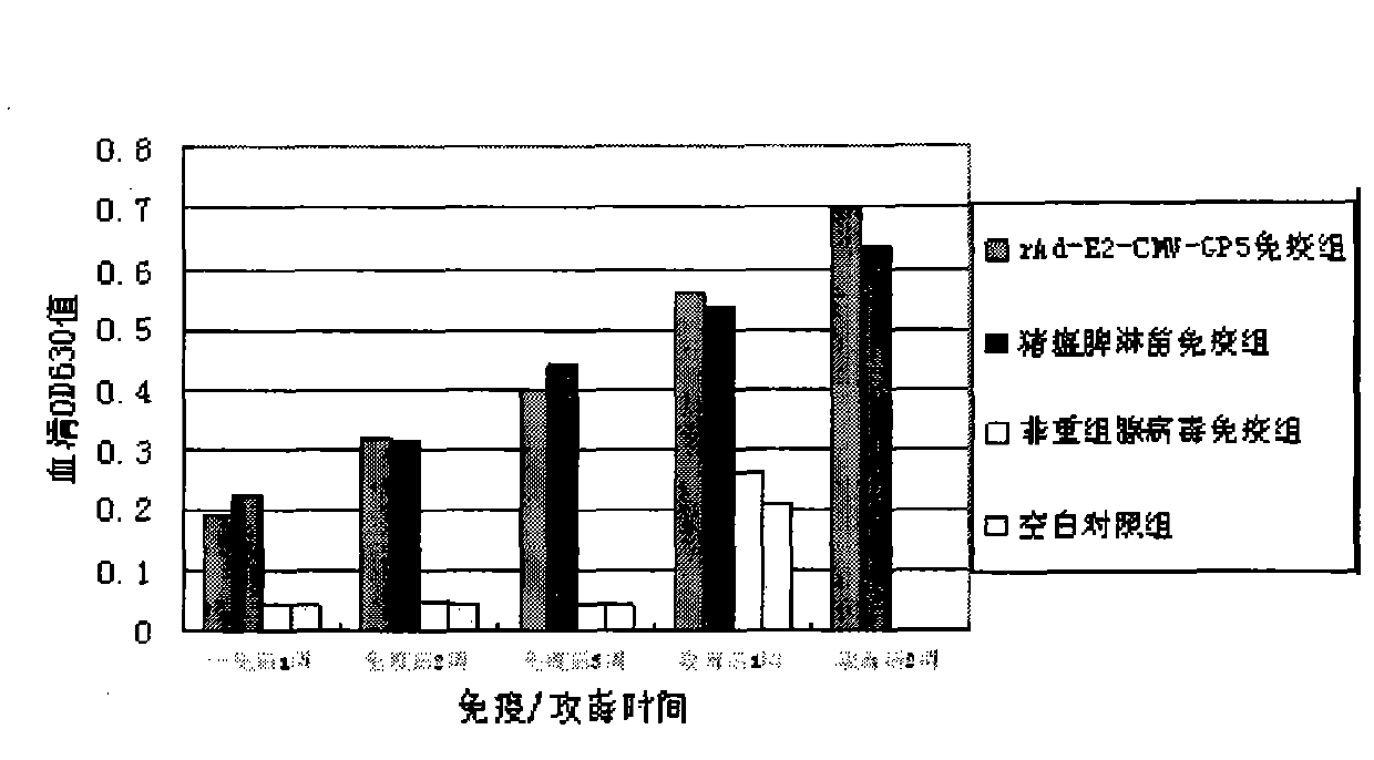 Recombinant adenovirus and construction method thereof