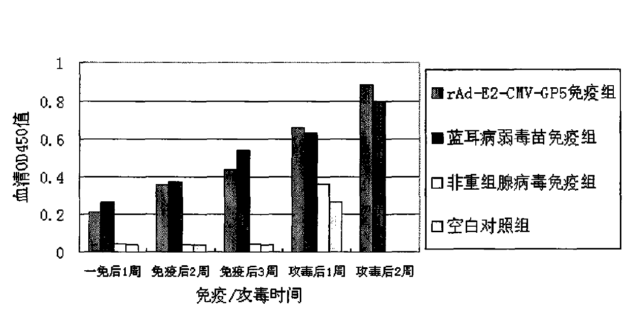 Recombinant adenovirus and construction method thereof