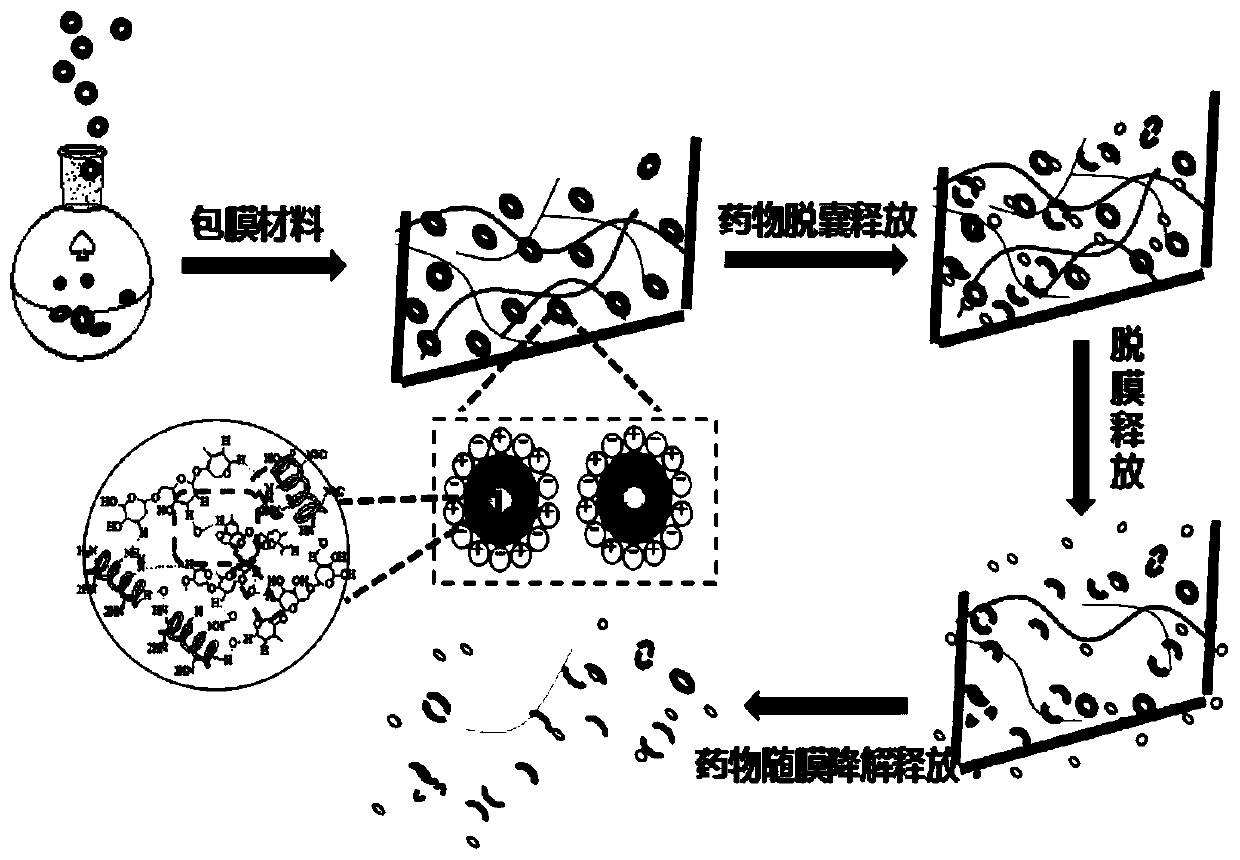 Degradable drug-loaded film material with step-by-step slow release function and preparation method and application of degradable drug-loaded film material