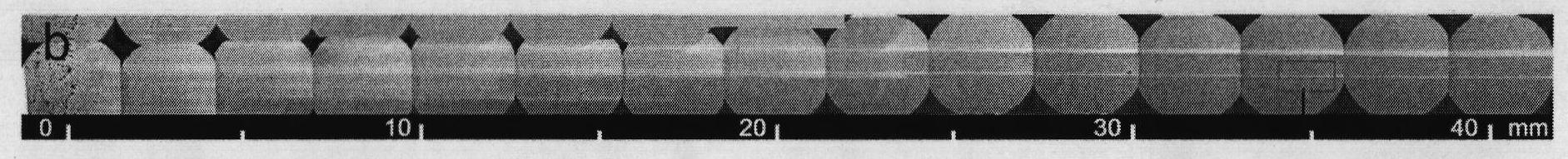 Overlong carbon nanotubes and preparation method thereof