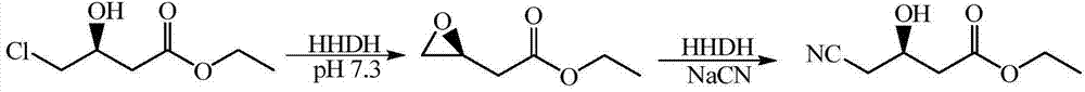 Recombinant halohydrin dehalogenase, encoding gene, vector, engineering bacteria, and applications of recombinant halohydrin dehalogenase