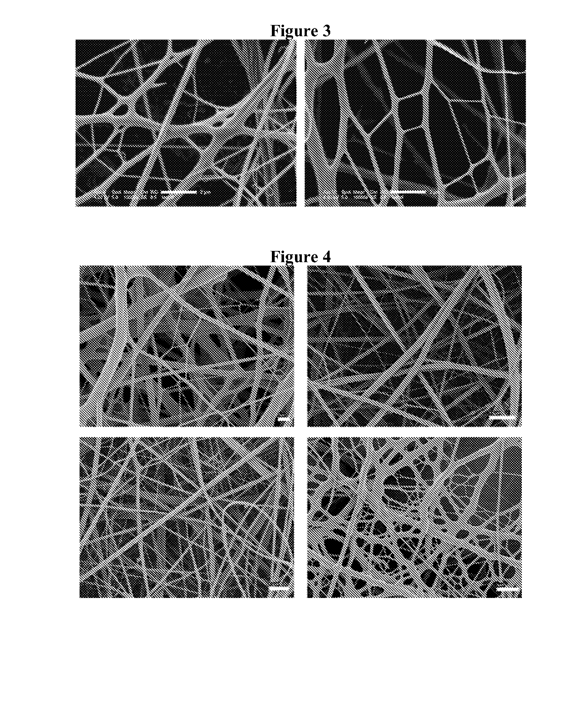 Fibrous mats containing chitosan nanofibers