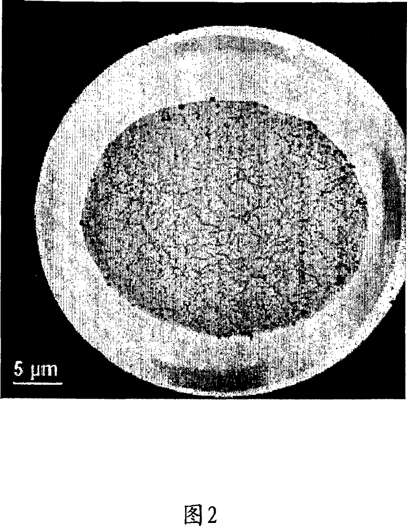 Dyed polyolefin yarn and textile fabrics using such yarns