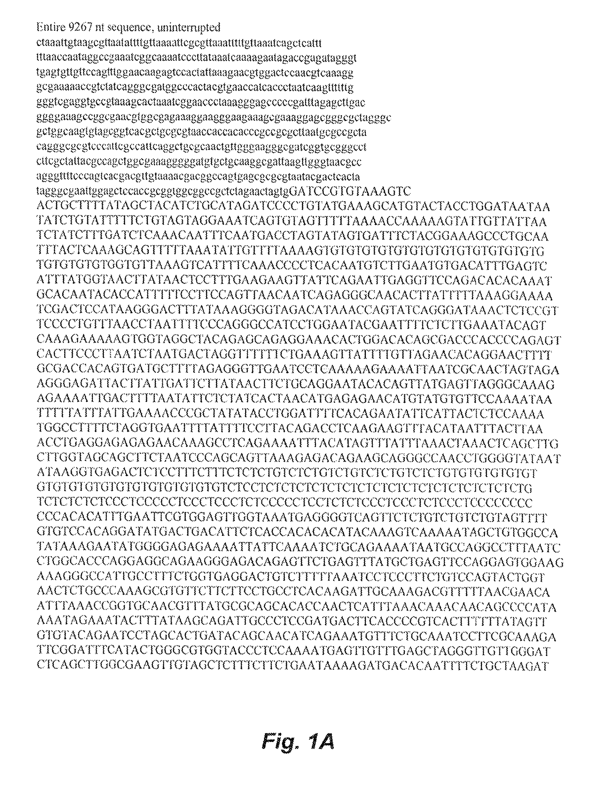 Transgenic mouse having a transgene that converts a prodrug into a cytotoxic compound in senescent cells