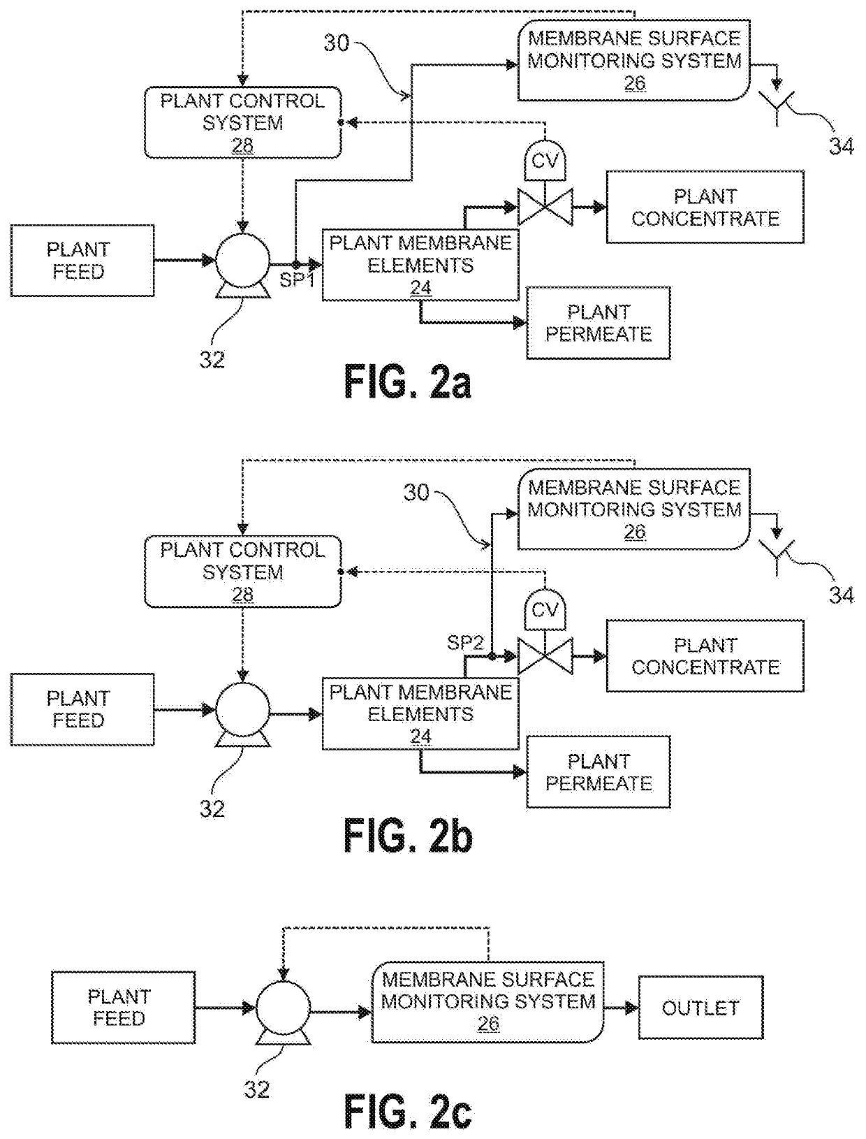 Method and Apparatus for Real-Time Direct Membrane Monitoring