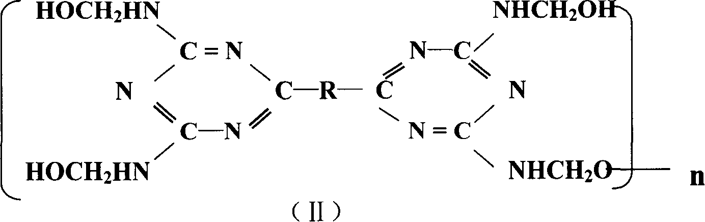 Binary mealmine compound and its preparing method, fire retardant and paint synthesized and their preparing method and use