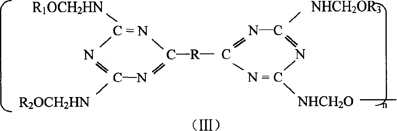 Binary mealmine compound and its preparing method, fire retardant and paint synthesized and their preparing method and use