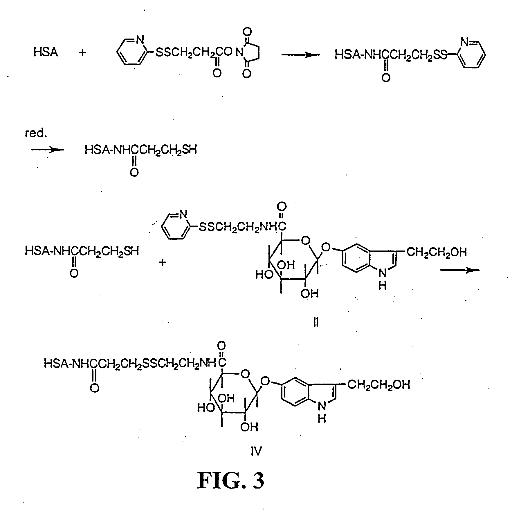 5-hydroxytryptophol (5-HTOL) derivatives, antibodies, immunoassays and detection of recent alcohol consumption