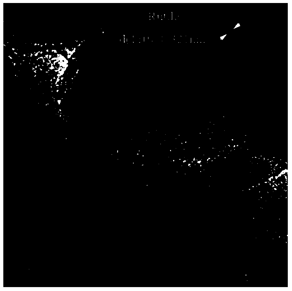 Titanium dioxide/cadmium sulfide/titanium dioxide composite film and application thereof