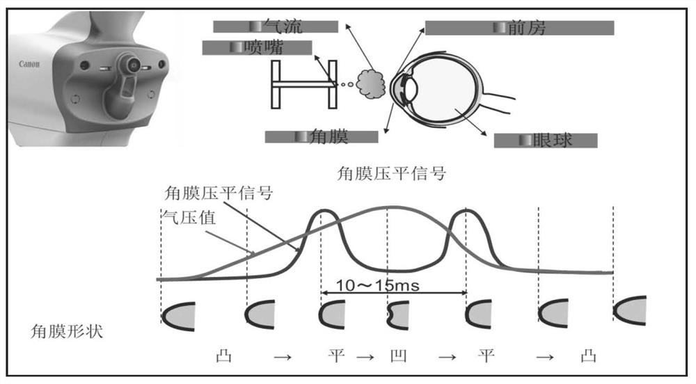 Measuring head and non-contact tonometer calibrating device and method