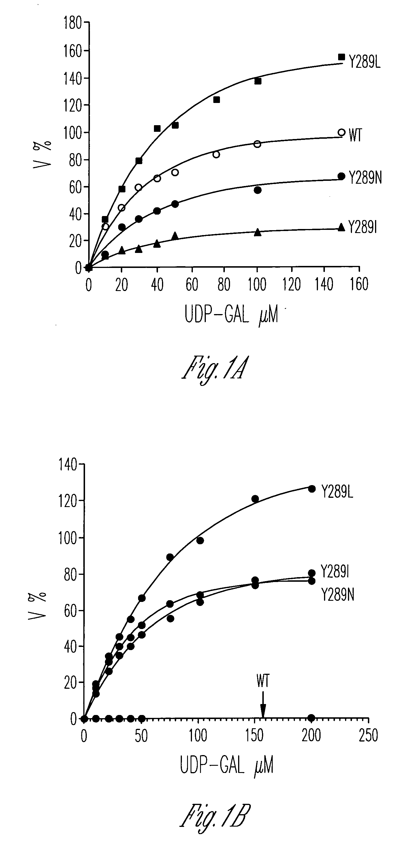 Catalytic domains of beta(1,4)-galactosyltransferase I having altered donor and acceptor specificities, domains that promote in vitro protein folding, and methods for their use