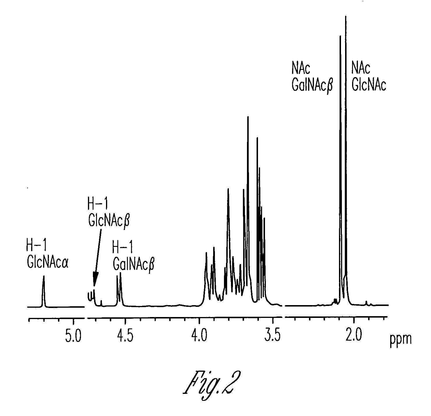 Catalytic domains of beta(1,4)-galactosyltransferase I having altered donor and acceptor specificities, domains that promote in vitro protein folding, and methods for their use