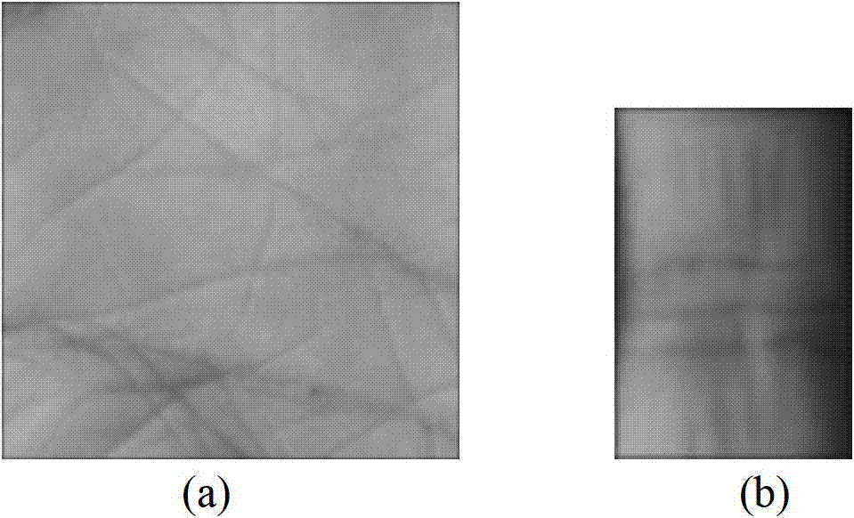 Mobile phone unlocking system and method based on palm image information